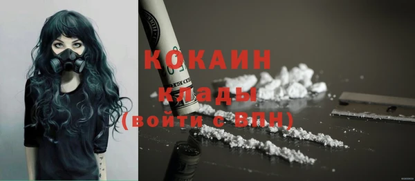 крисы Аркадак