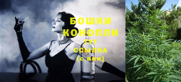 крисы Аркадак