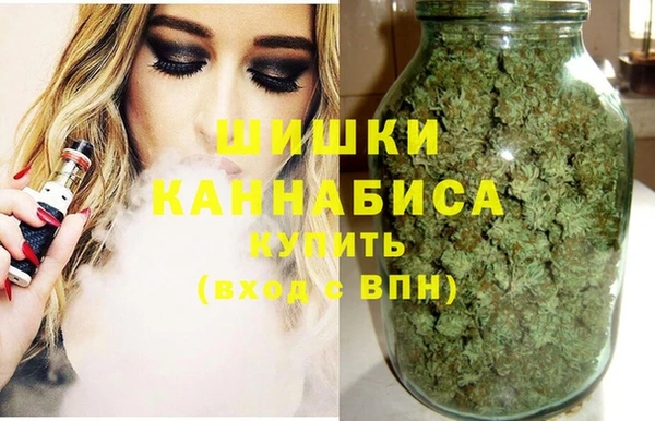 амф Арсеньев