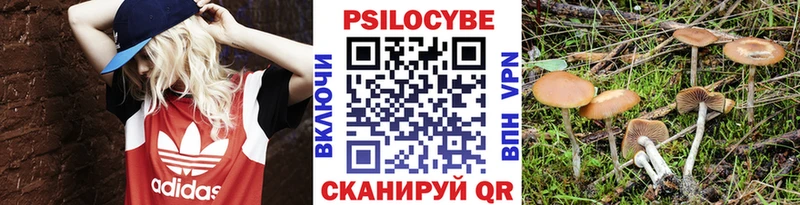 Псилоцибиновые грибы ЛСД  KRAKEN ONION  Боровск 